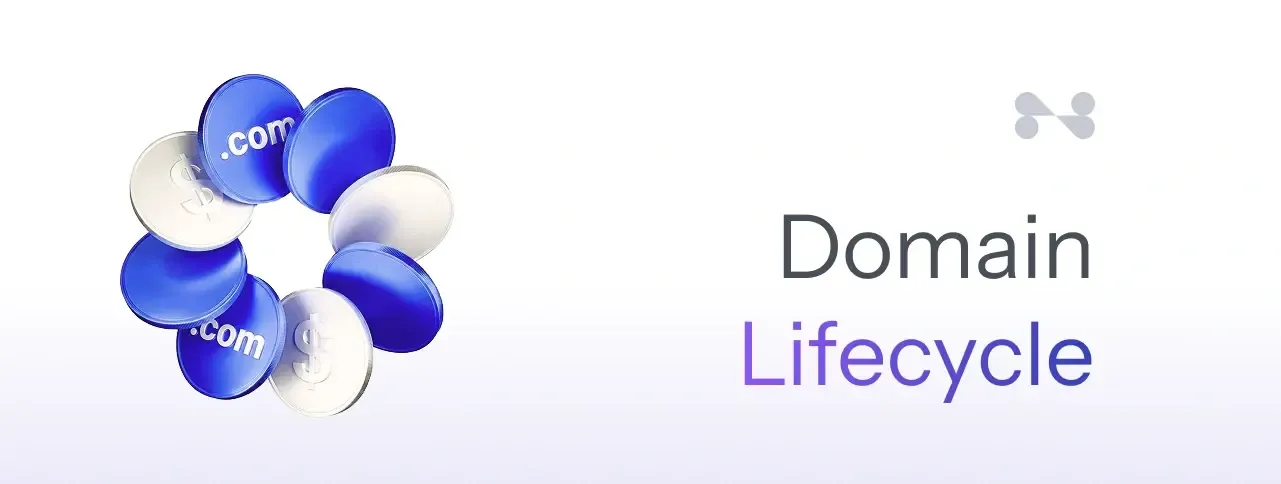 Domain Lifecycle Explained