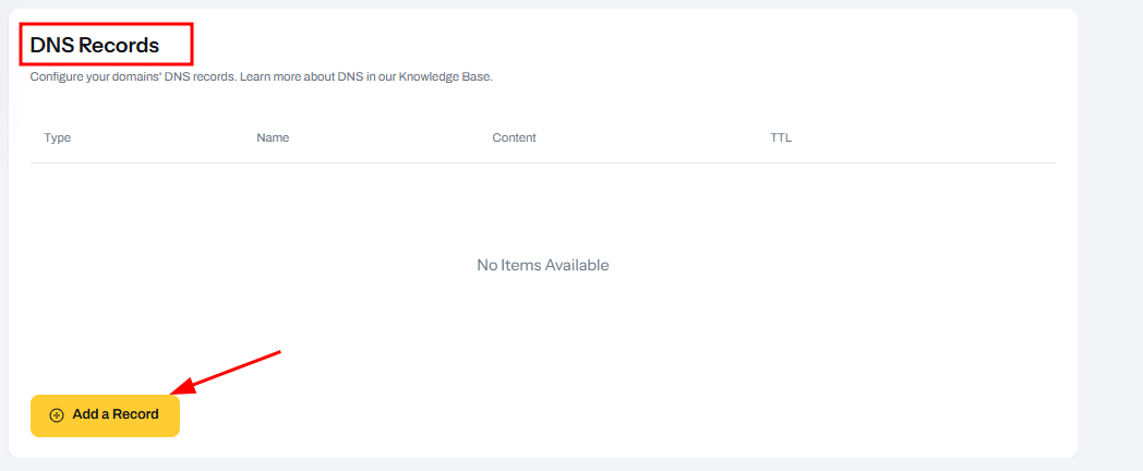Add DNS Record Tutorial Capture Image